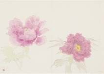 213x151 Peony Sketch By Kayo Yamaguchi On Artnet - Peony Sketch