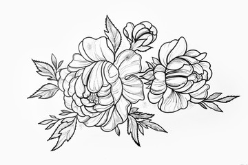 360x240 Search Photos Peony Sketch - Peony Sketch
