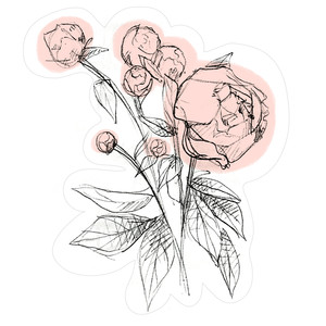 300x300 Silhouette Design Store - Peony Sketch