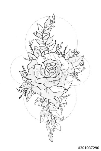 334x500 Sketch Of Peony In Beautiful Patterns On A White Background - Peony Sketch