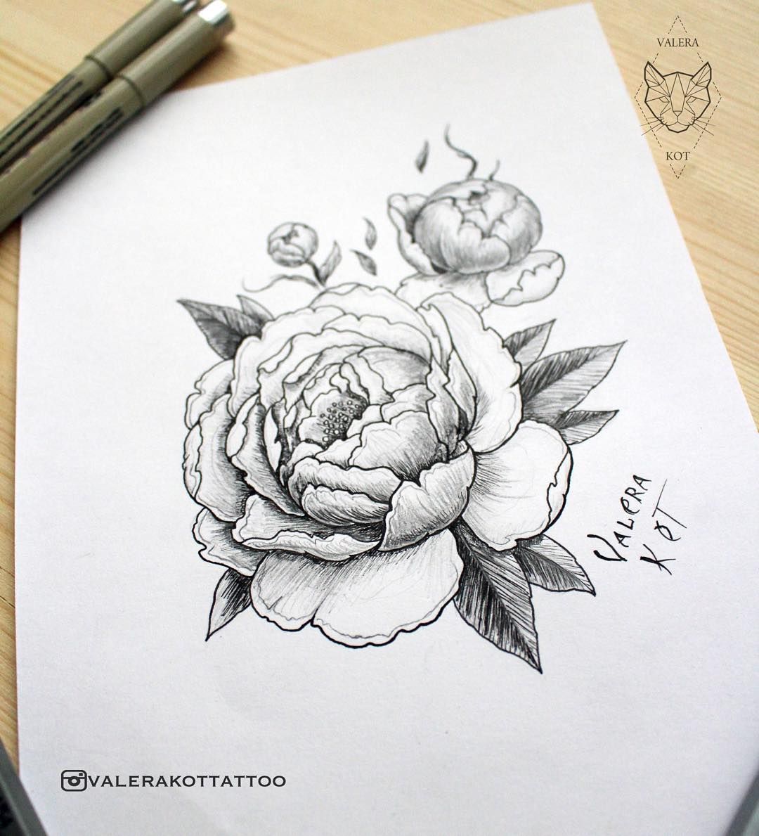 1080x1189 Sketch Peony Eskiz Pion - Peony Sketch