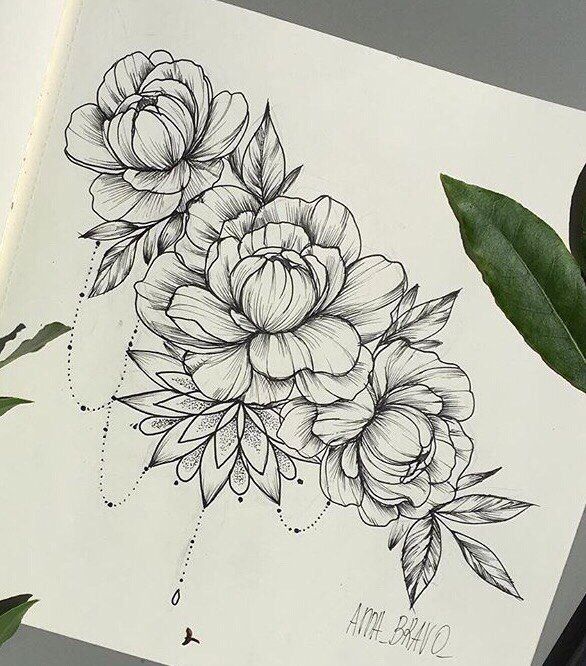 586x666 Fotografii Tatu I Eskizy 4 Alboma - Peony Tattoo Sketch