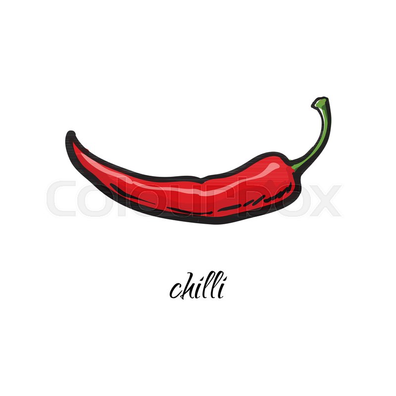 800x800 Hand Drawn Whole Red Chili Pepper With Caption, Sketch Style - Pepper Sketch