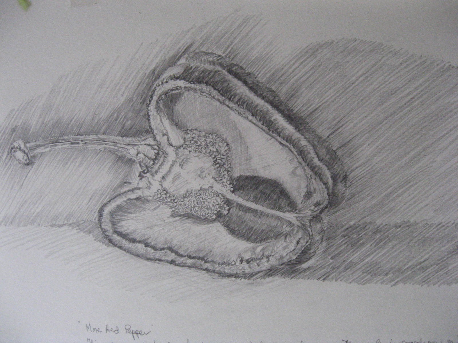 1600x1200 Part 3 Natural Form And Space - Pepper Sketch