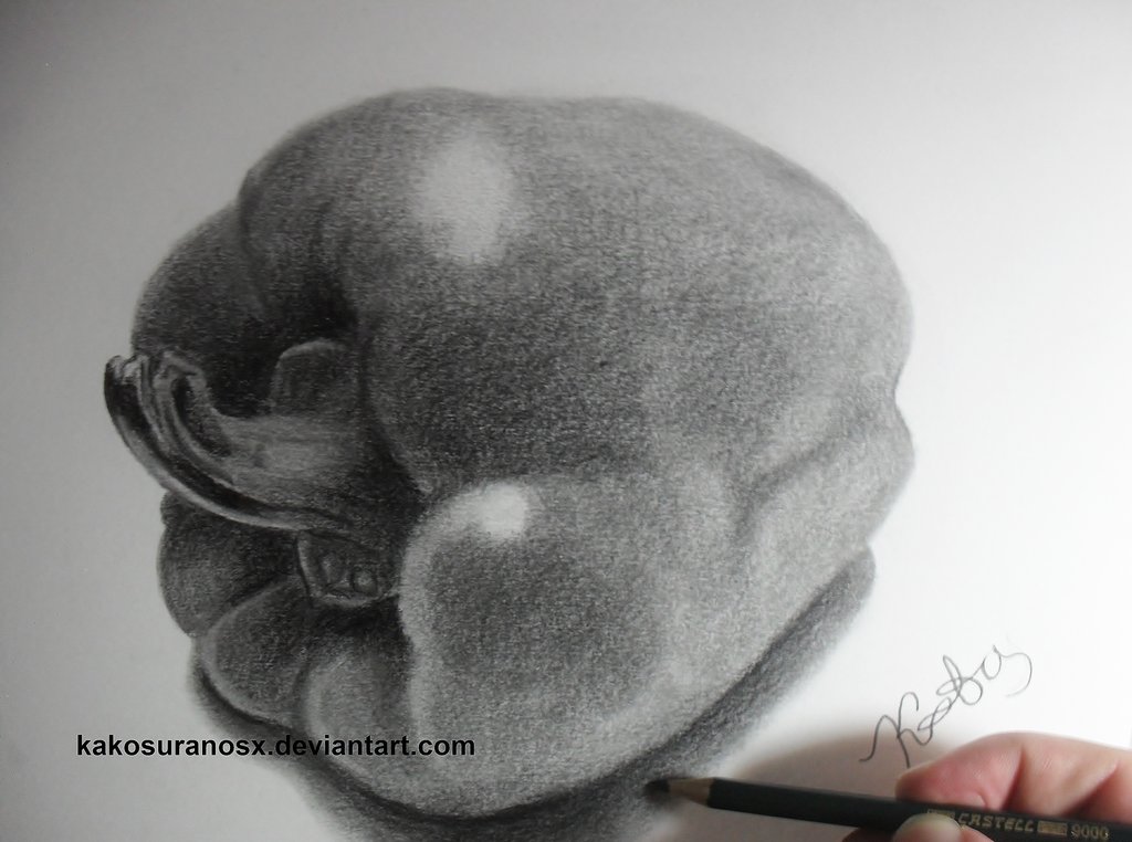 1024x762 Realistic Bell Pepper Drawing Sketch 3 By Kakosuranosx - Pepper Sketch