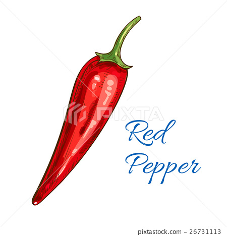 450x468 Red Pepper Vegetable Vector Isolated Sketch Icon - Pepper Sketch