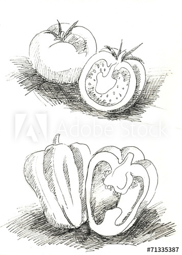 357x500 Tomato And Pepper Sketch - Pepper Sketch