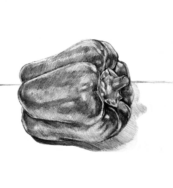 567x618 Pepper Sketch By Brush Daily Art Lesson Ideas Still Life - Pepper Sketch