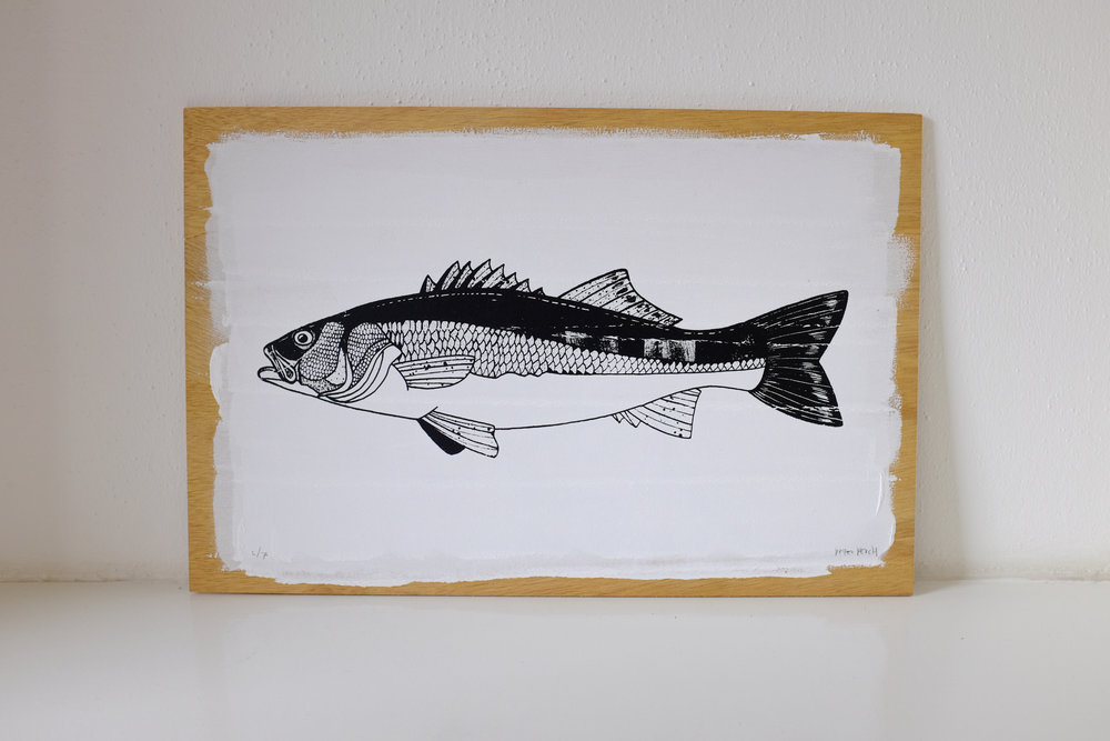1000x667 Sea Bass Screen Prints Peter Perch Fish Art - Perch Sketch