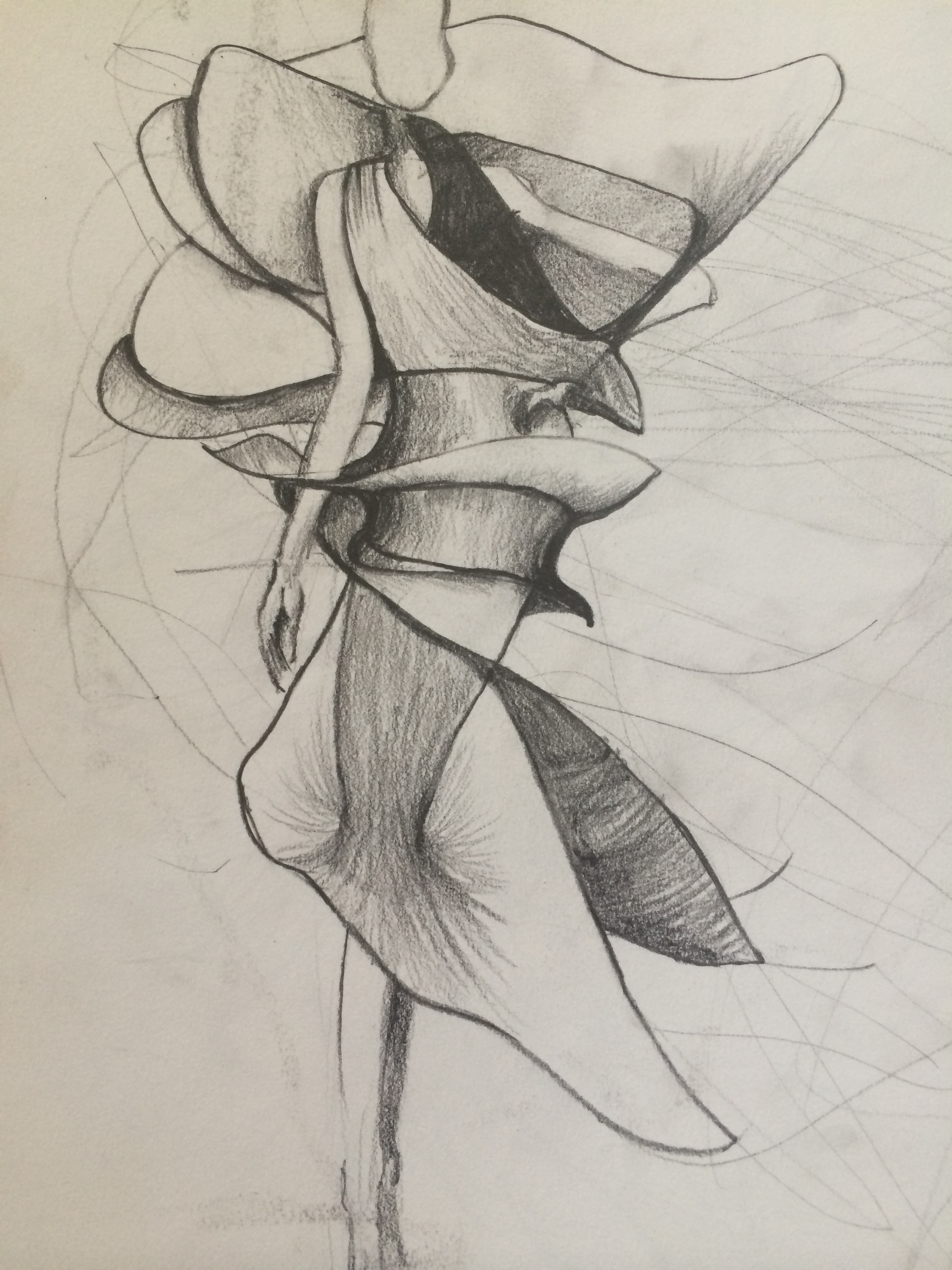 2448x3264 Performance Art Llinos Gunn - Performance Sketch