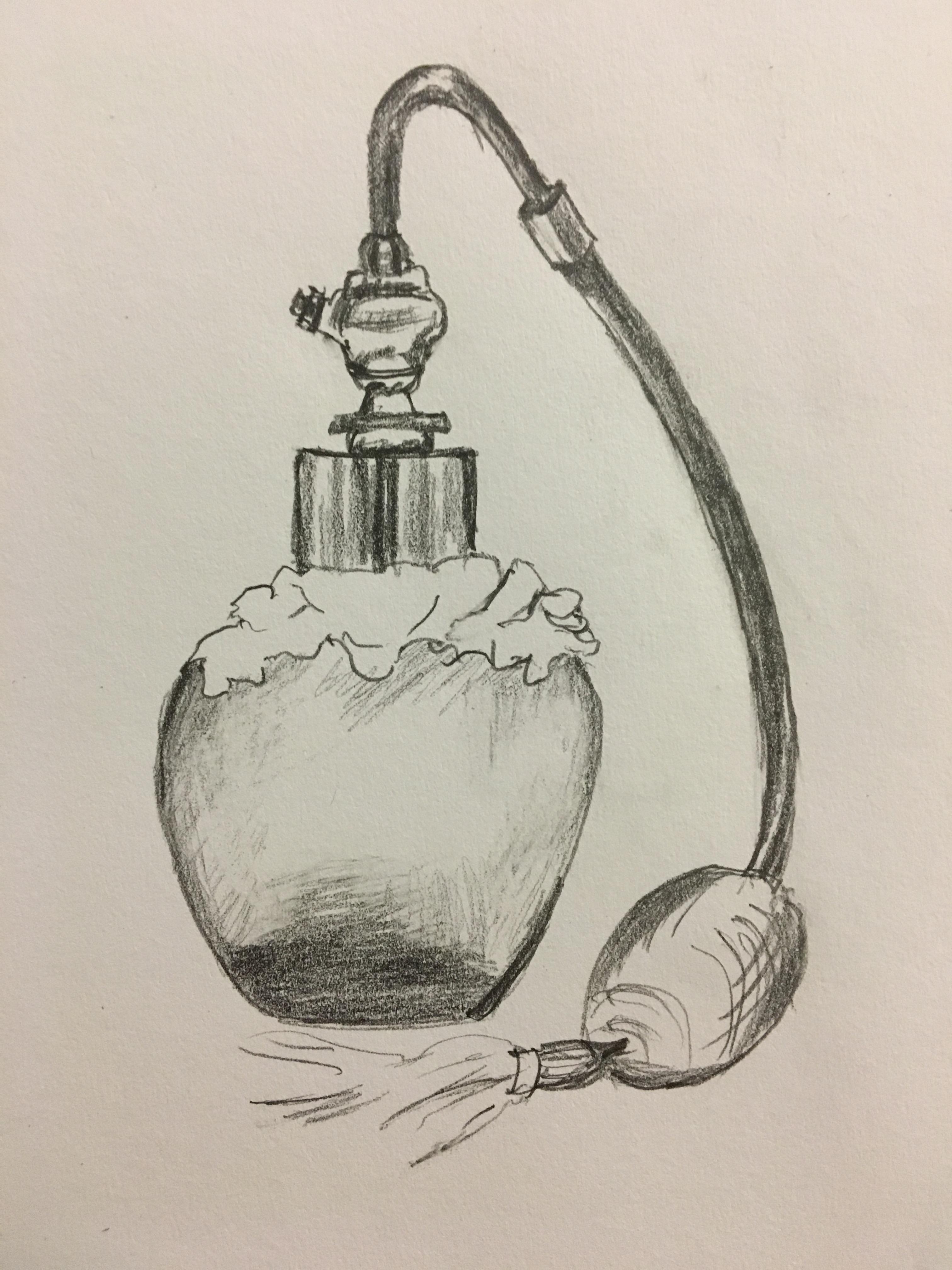 Creative Perfume Sketch Drawing for Beginner