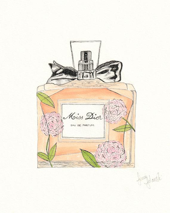 570x713 Miss Dior Perfume Drawing Print Pen And Ink With Watercolor Etsy - Perfume Sketch