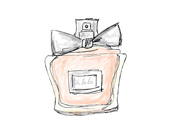 340x270 Perfume Drawing Etsy - Perfume Sketch