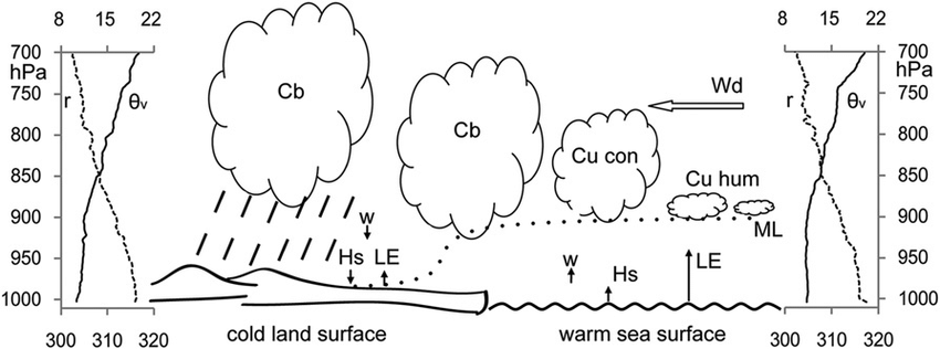 850x316 Sketch Of The Local Precipitation - Period Sketch