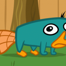 220x220 How To Draw How To Draw Perry The Platypus Easy - Perry The Platypus Sketch