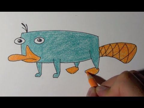 480x360 How To Draw Perry The Platypus Step By Step - Perry The Platypus Sketch