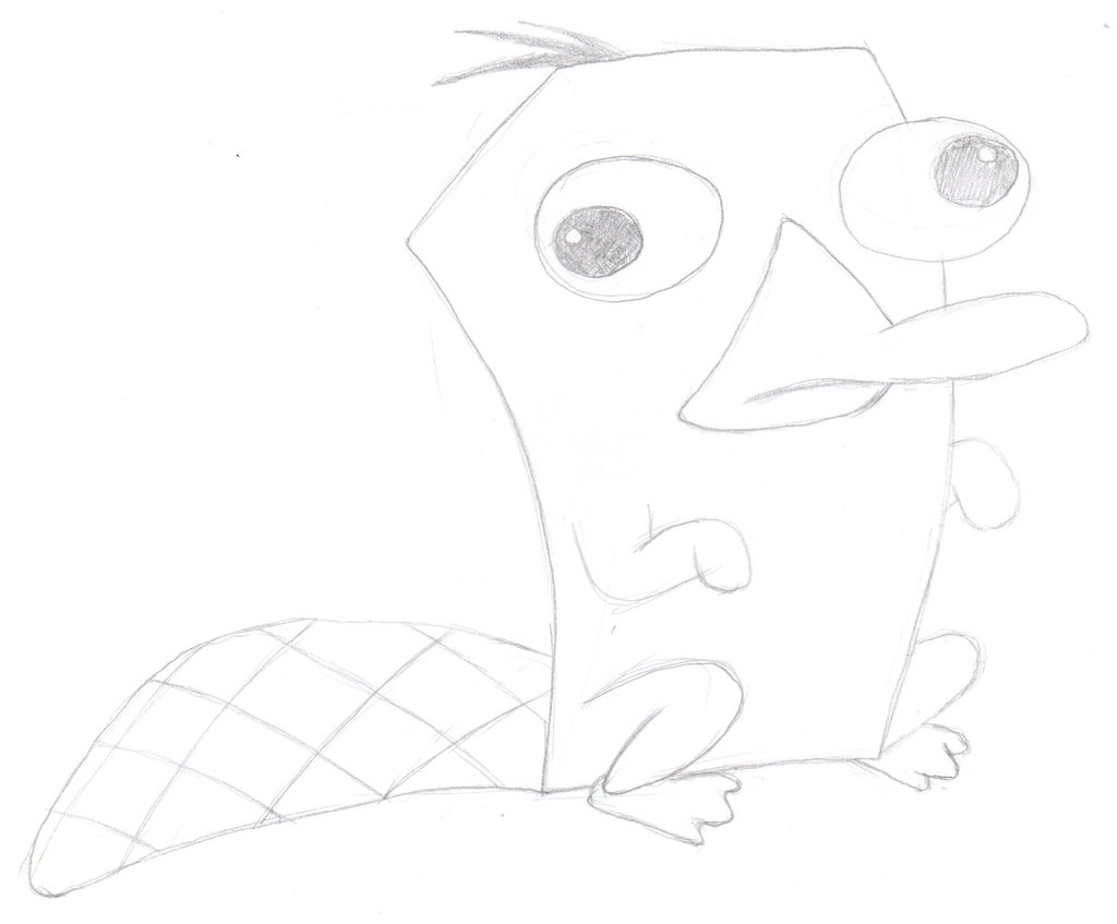 1024x847 Perry The Platypus Sketch - Perry The Platypus Sketch