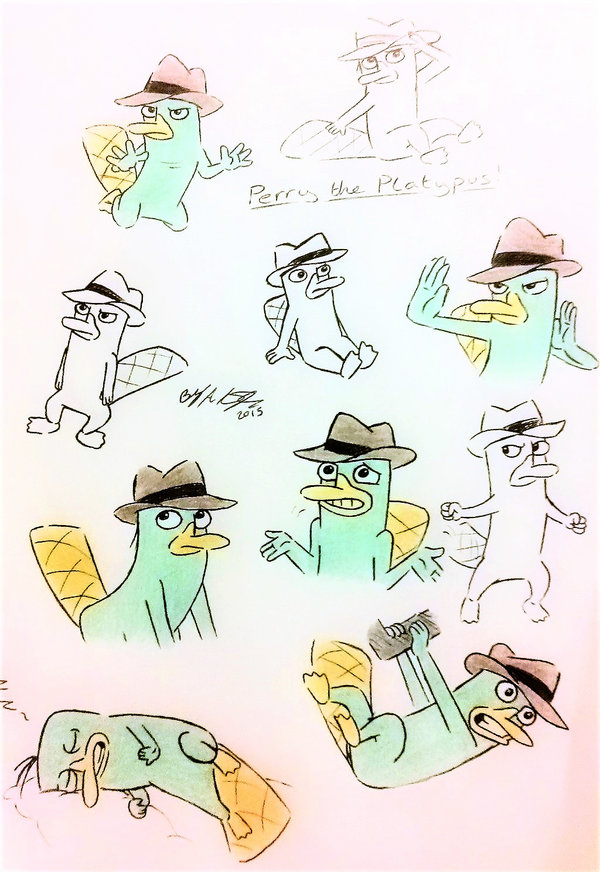 600x872 Perry The Platypus Sketches By Amanda040 - Perry The Platypus Sketch