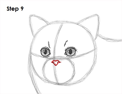 500x386 How To Draw A Persian Cat - Persian Cat Sketch