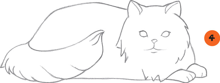 751x283 Long Haired Cat - Persian Cat Sketch