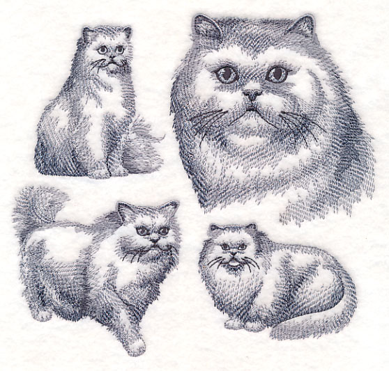558x533 Machine Embroidery Designs - Persian Cat Sketch
