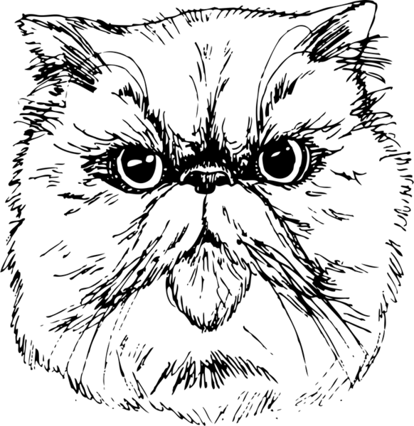 582x600 Persian Cat Face (Sketch Style) Dog, Cat Amp Fur Baby Stamps - Persian Cat Sketch
