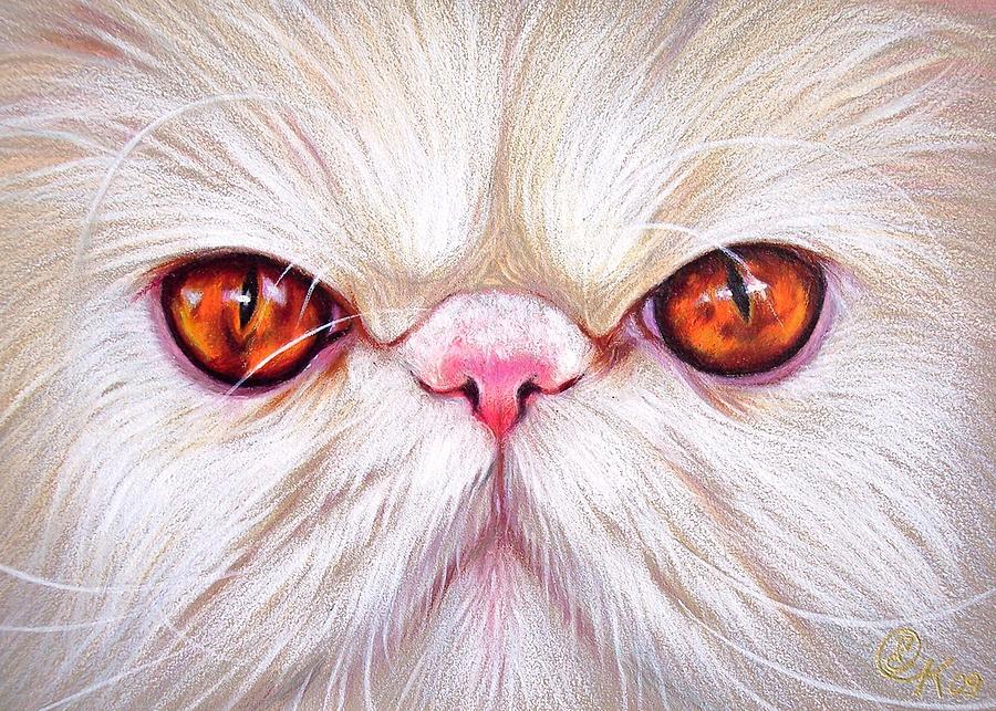 900x643 White Persian Cat Drawing By Elena Kolotusha - Persian Cat Sketch