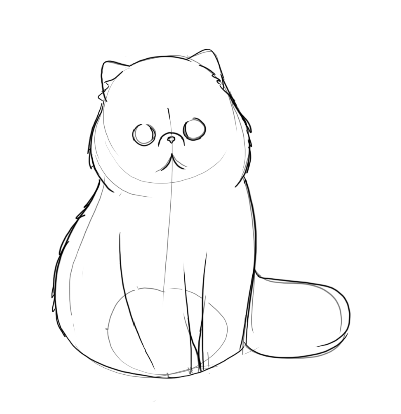 799x825 Persian Cat Sketch 2 Charity Cody - Persian Cat Sketch