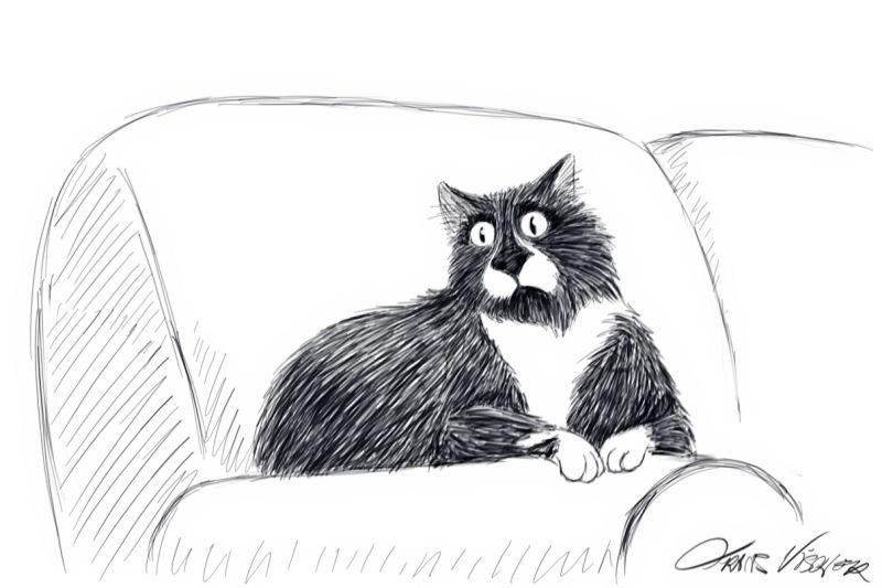 800x533 Personalized Sketch Of Your Cat The Purrington Post - Personalized Sketch
