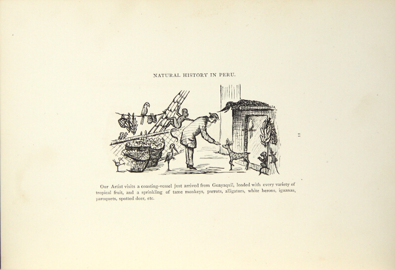 800x548 Our Artist In Peru. Fifty Drawings On Wood. Leaves From The Sketch - Peru Sketch