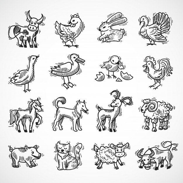 626x626 Farm Animals Sketch Vector Free Download - Pet Animals Sketch