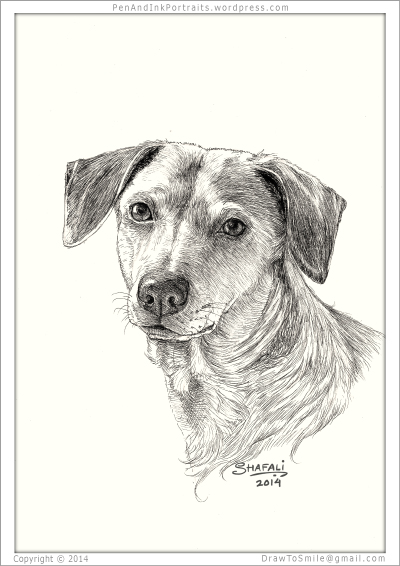 400x566 Portrait Of The Super Awesome Pup The Pet Portrait Artist Gets - Pet Animals Sketch