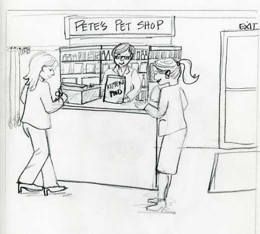 521x469 Galleries - Pet Shop Sketch