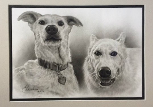 538x378 Home - Pet Sketches