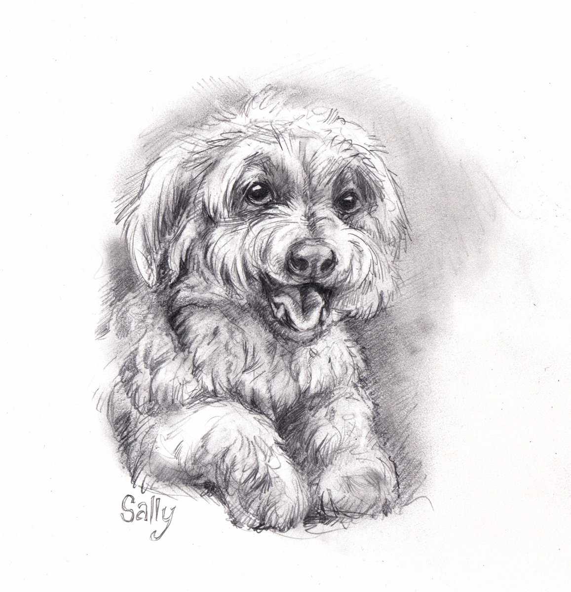 1157x1200 Kenket On Twitter A New Batch Of Pet Sketches Added To The - Pet Sketches