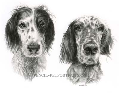 400x312 Pencil Pet Portraits - Pet Sketches