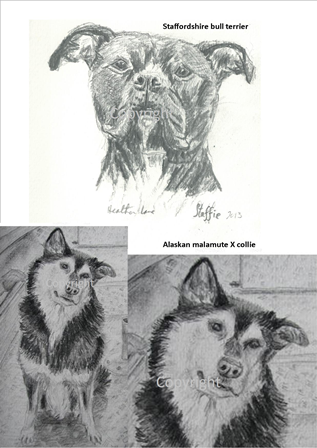 317x448 Pet Portraits, Greeting Cards And Murals - Pet Sketches