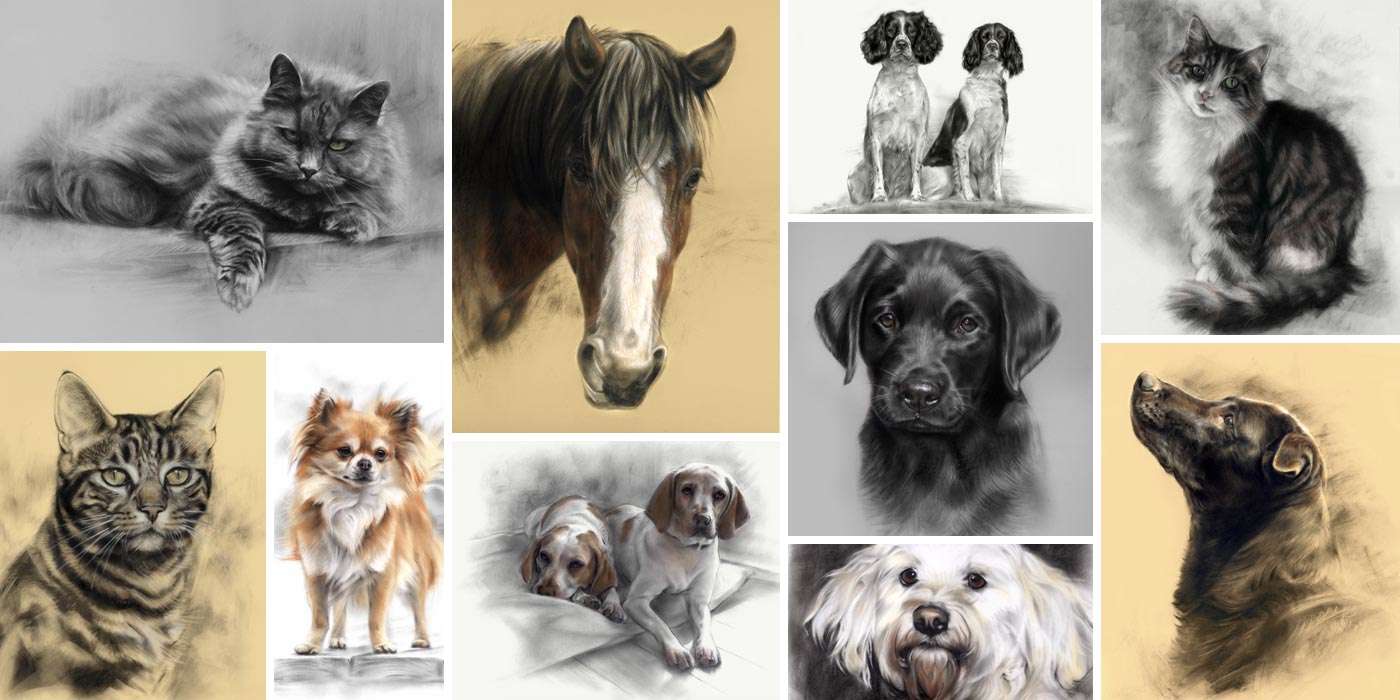 1400x700 Pet Portraits In Pastel View Portfolio With Lovely Drawings - Pet Sketches