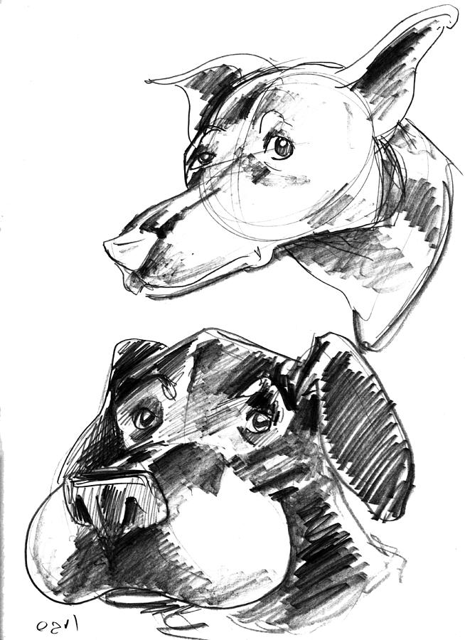 654x900 Pet Sketches 5 Drawing By Big Mike Roate - Pet Sketches