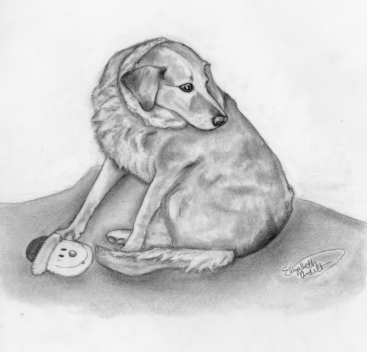 1200x1152 Pet Sketches On Behance - Pet Sketches