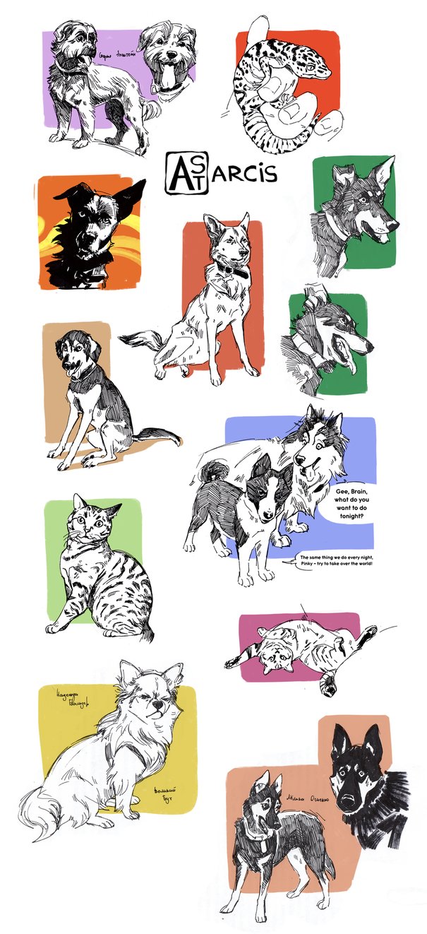 605x1322 Pet Sketches 2 By Astarcis - Pet Sketches