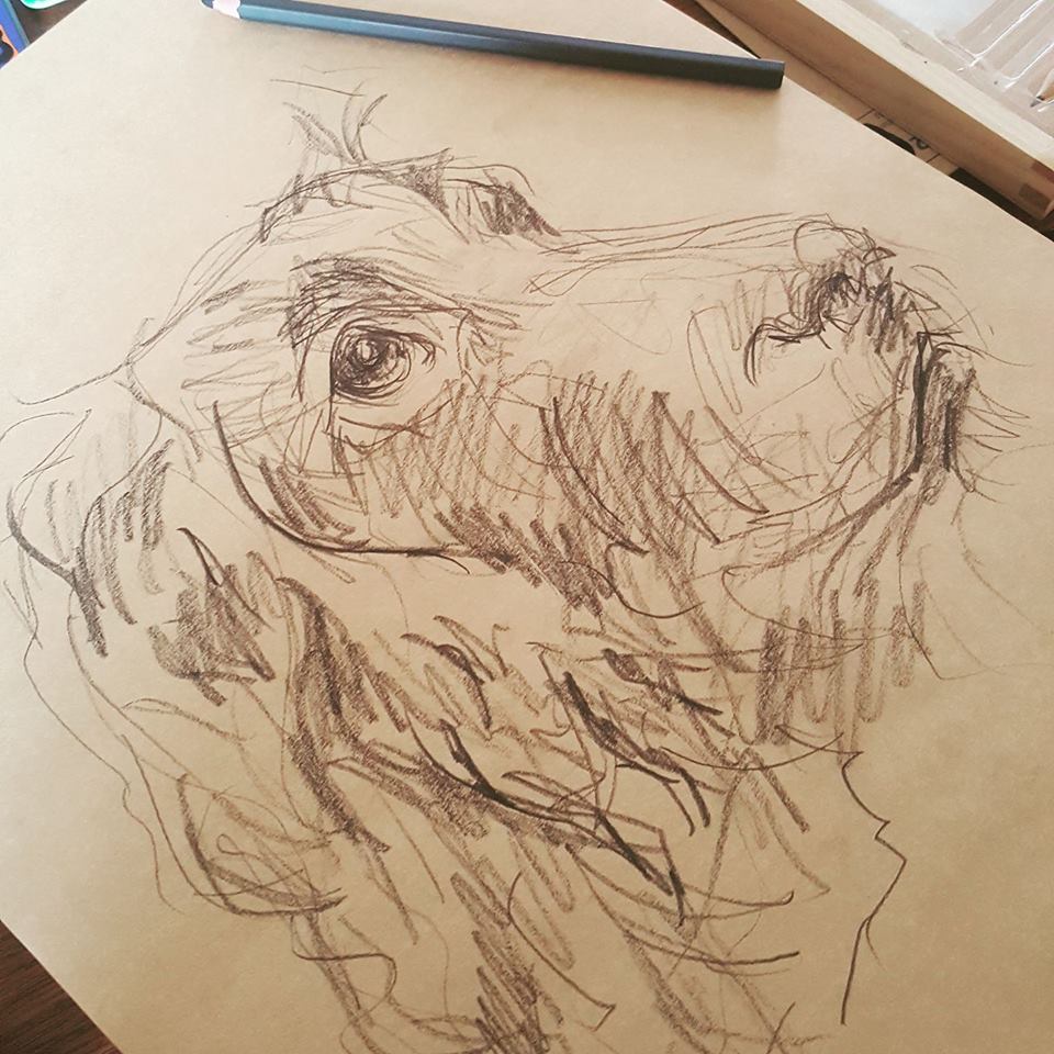 960x960 Pet Sketches Lucie Trarieux - Pet Sketches