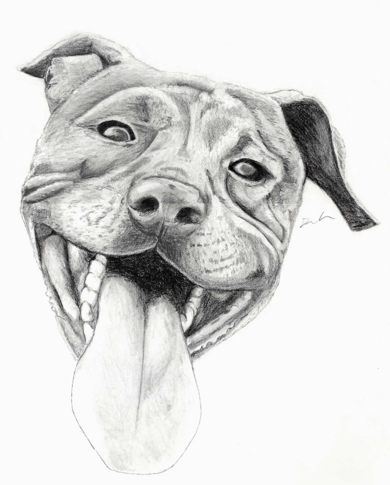 Pet Sketches at PaintingValley.com | Explore collection of Pet Sketches