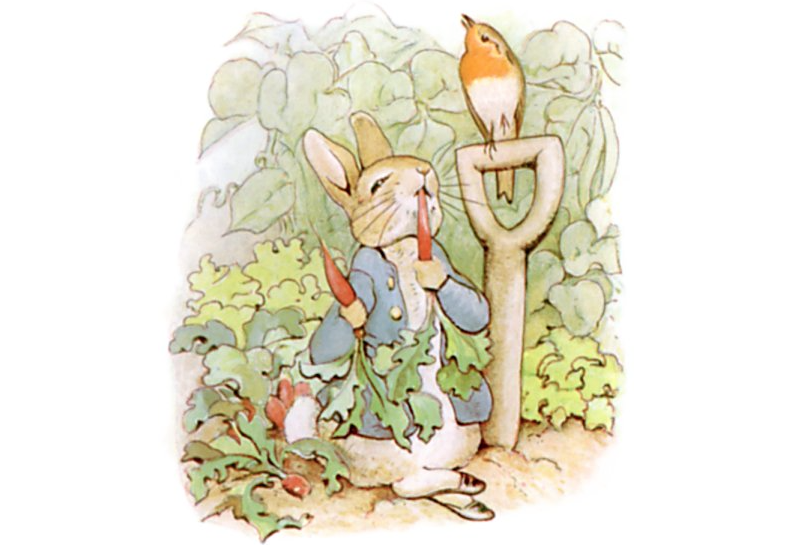 810x545 9 Facts About Peter Rabbit Mental Floss - Peter Rabbit Sketch