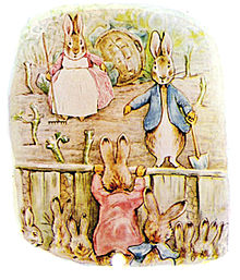 220x257 Peter Rabbit - Peter Rabbit Sketch