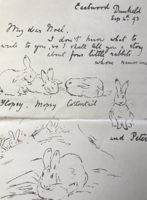 500x681 The Tale Of Peter Rabbit - Peter Rabbit Sketch