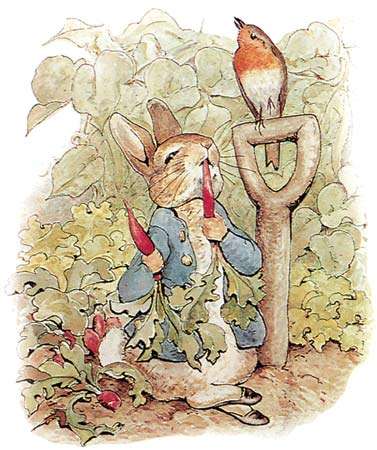 377x450 The Tale Of Peter Rabbit A Summary - Peter Rabbit Sketch