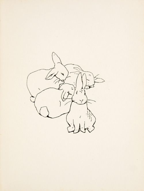 500x663 Beatrix Poter, Ink Drawing, Illustration, Rabbit, Sketch, Peter - Peter Rabbit Sketch
