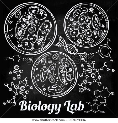 450x470 Hand Drawn Science Bio Viral Laboratory Icons Sketch Set. Bacteria - Petri Dish Sketch