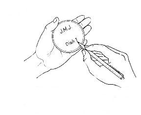 288x235 How To (Microbiology) (With Pictures) - Petri Dish Sketch